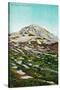 Mt. Rainier View - Rainier National Park-Lantern Press-Stretched Canvas