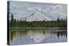 Mt. Rainier View - Rainier National Park-Lantern Press-Stretched Canvas