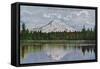 Mt. Rainier View - Rainier National Park-Lantern Press-Framed Stretched Canvas