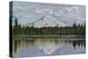 Mt. Rainier View - Rainier National Park-Lantern Press-Stretched Canvas