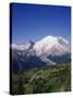 Mt. Rainier Viewed from Sourdough Ridge, Mt. Rainier NP, Wa-Greg Probst-Stretched Canvas