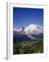 Mt. Rainier Viewed from Sourdough Ridge, Mt. Rainier NP, Wa-Greg Probst-Framed Premium Photographic Print