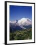 Mt. Rainier Viewed from Sourdough Ridge, Mt. Rainier NP, Wa-Greg Probst-Framed Premium Photographic Print