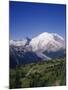 Mt. Rainier Viewed from Sourdough Ridge, Mt. Rainier NP, Wa-Greg Probst-Mounted Premium Photographic Print