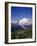 Mt. Rainier Viewed from Sourdough Ridge, Mt. Rainier NP, Wa-Greg Probst-Framed Photographic Print