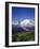 Mt. Rainier Viewed from Sourdough Ridge, Mt. Rainier NP, Wa-Greg Probst-Framed Photographic Print