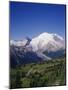 Mt. Rainier Viewed from Sourdough Ridge, Mt. Rainier NP, Wa-Greg Probst-Mounted Photographic Print