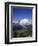 Mt. Rainier Viewed from Sourdough Ridge, Mt. Rainier NP, Wa-Greg Probst-Framed Photographic Print