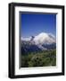 Mt. Rainier Viewed from Sourdough Ridge, Mt. Rainier NP, Wa-Greg Probst-Framed Photographic Print