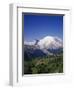 Mt. Rainier Viewed from Sourdough Ridge, Mt. Rainier NP, Wa-Greg Probst-Framed Photographic Print