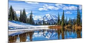 Mt. Rainier Vista-Michael Broom-Mounted Art Print