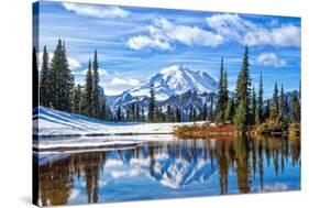 Mt. Rainier Vista-Michael Broom-Stretched Canvas