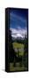 Mt Rainier Wa-null-Framed Stretched Canvas