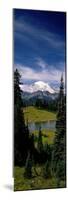 Mt Rainier Wa-null-Mounted Photographic Print