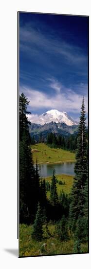 Mt Rainier Wa-null-Mounted Photographic Print