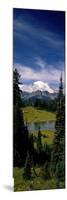 Mt Rainier Wa-null-Mounted Photographic Print