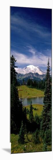 Mt Rainier Wa-null-Mounted Photographic Print