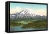 Mt. Rainier, Washington-null-Framed Stretched Canvas