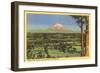 Mt. Rainier, Washington-null-Framed Art Print