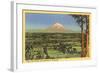 Mt. Rainier, Washington-null-Framed Art Print