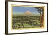 Mt. Rainier, Washington-null-Framed Art Print