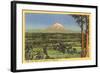 Mt. Rainier, Washington-null-Framed Art Print