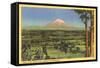 Mt. Rainier, Washington-null-Framed Stretched Canvas