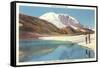 Mt. Rainier, Washington-null-Framed Stretched Canvas