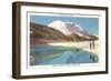 Mt. Rainier, Washington-null-Framed Art Print