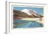 Mt. Rainier, Washington-null-Framed Art Print