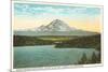 Mt. Rainier, Washington-null-Mounted Art Print