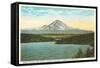 Mt. Rainier, Washington-null-Framed Stretched Canvas
