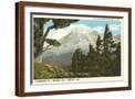 Brown Frame