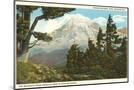 Wood Mount