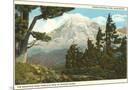Wood Mount