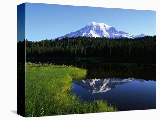 Mt. Rainier-James Randklev-Stretched Canvas