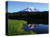 Mt. Rainier-James Randklev-Stretched Canvas