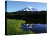 Mt. Rainier-James Randklev-Stretched Canvas