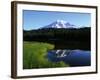 Mt. Rainier-James Randklev-Framed Photographic Print