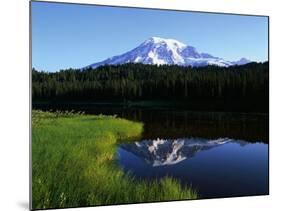 Mt. Rainier-James Randklev-Mounted Photographic Print