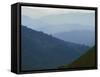 Mt. Rogers National Recreation Area, Jefferson National Forest, Virginia, USA-Charles Gurche-Framed Stretched Canvas