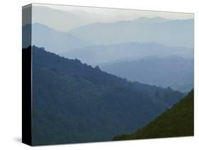 Mt. Rogers National Recreation Area, Jefferson National Forest, Virginia, USA-Charles Gurche-Stretched Canvas