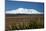 Mt Ruapehu, Rangipo Desert, flax, Tongariro NP, Central Plateau, N Island, New Zealand-David Wall-Mounted Photographic Print