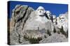 Mt. Rushmore I-Tammy Putman-Stretched Canvas