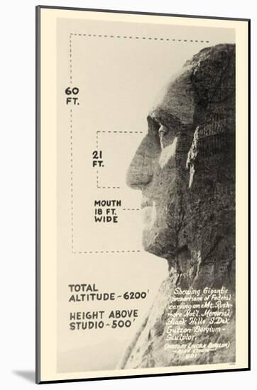 Mt Rushmore Scale-null-Mounted Poster