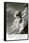 Mt. Rushmore, South Dakota with Dimensions-null-Framed Stretched Canvas