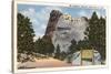 Mt. Rushmore, South Dakota-null-Stretched Canvas