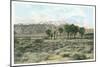Mt. San Jacinto from Whitewater-null-Mounted Art Print