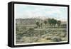 Mt. San Jacinto from Whitewater-null-Framed Stretched Canvas