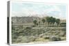 Mt. San Jacinto from Whitewater-null-Stretched Canvas